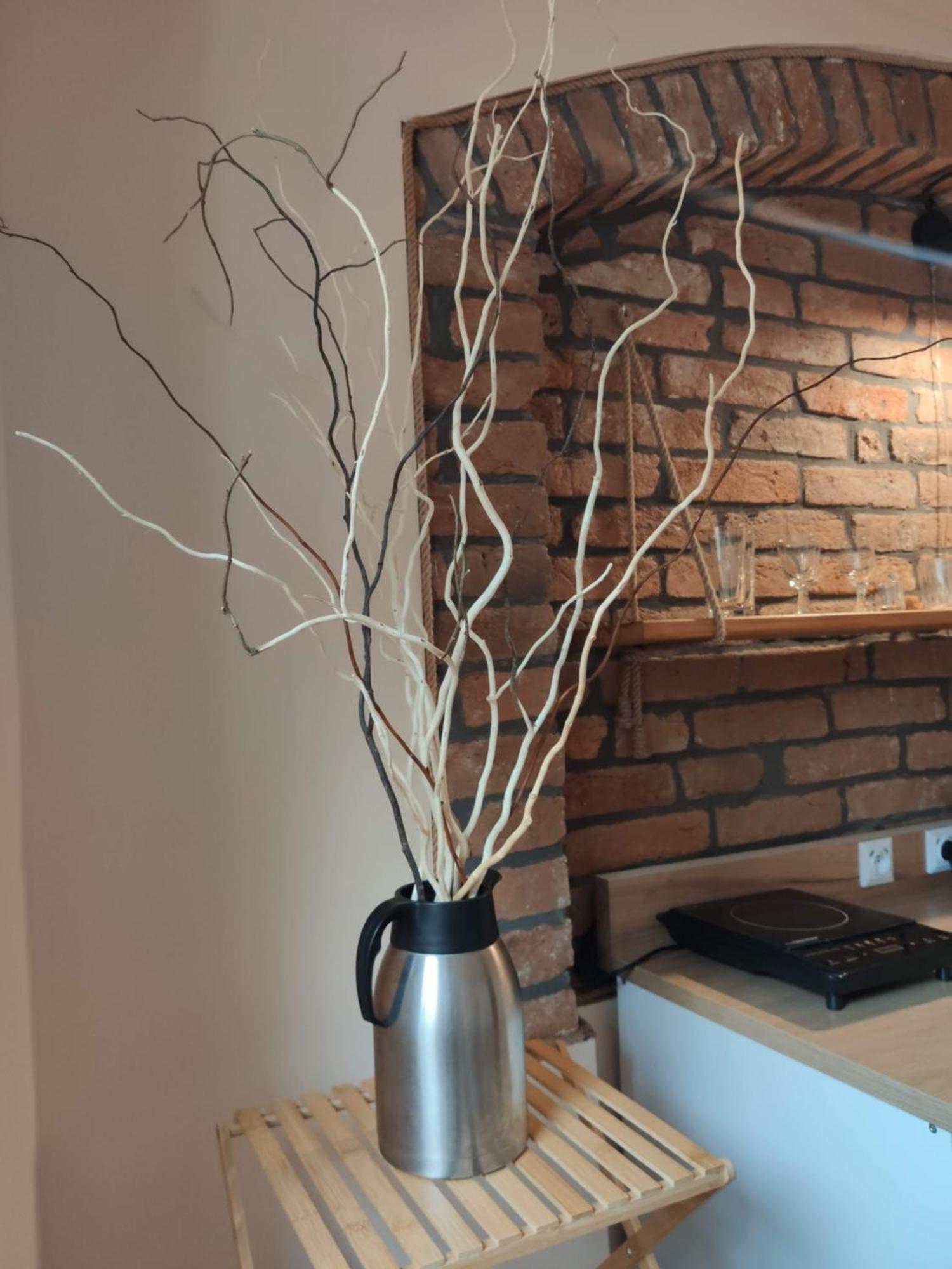 Apartamenty I Pokoje Goscinne "Wacus" Srebrna Góra Екстериор снимка